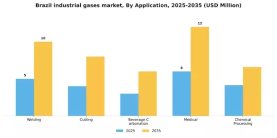 Brazil Industrial Gases Market Segment Image 0