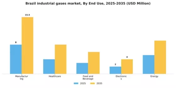 Brazil Industrial Gases Market Segment Image 2