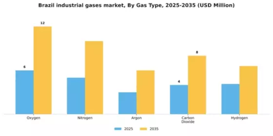 Brazil Industrial Gases Market Segment Image 3