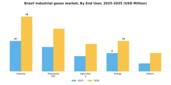 Brazil Industrial Gases Market Segment Image 0