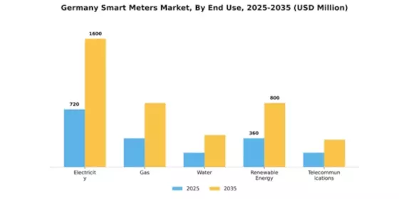 Germany Smart Meters Market Segment Image 1