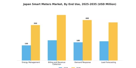 Japan Smart Meters Market Segment Image 2
