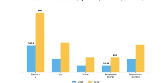 France Smart Meters Market Segment Image 2