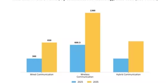 India Smart Meters Market Segment Image 1
