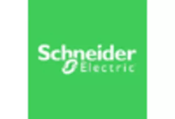 India Smart Meters Market key player