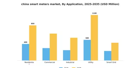 China Smart Meters Market Segment Image 0