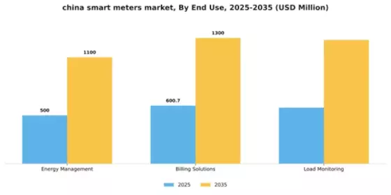 China Smart Meters Market Segment Image 1