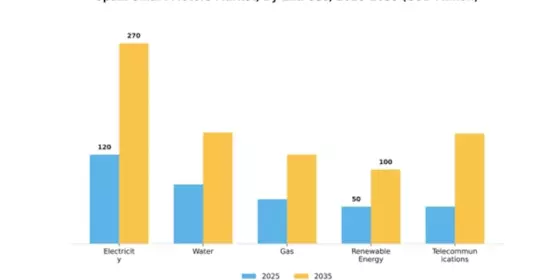 Spain Smart Meters Market Segment Image 1