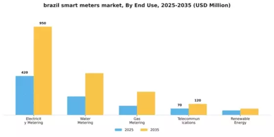 Brazil Smart Meters Market Segment Image 2