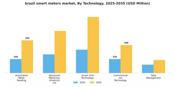 Brazil Smart Meters Market Segment Image 3