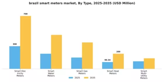 Brazil Smart Meters Market Segment Image 4