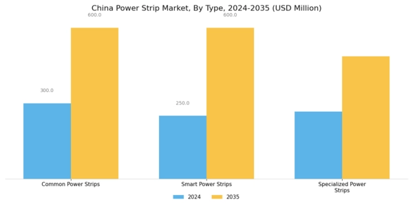 China Power Strip Market Segment Image 0