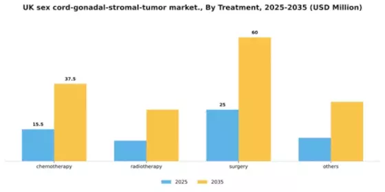 UK Sex Cord Gonadal Stromal Tumor Market Segment Image 2