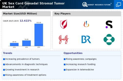 UK Sex Cord Gonadal Stromal Tumor Market Infographic
