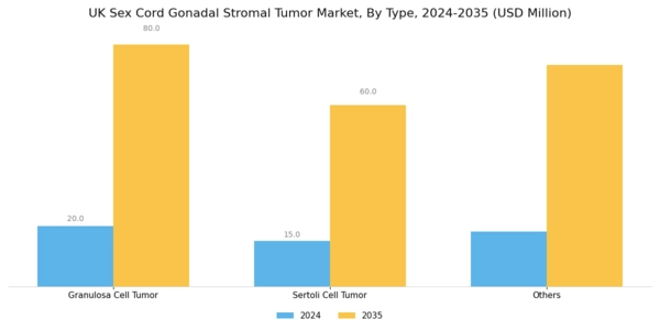 UK Sex Cord Gonadal Stromal Tumor Market Segment Image 0