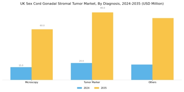 UK Sex Cord Gonadal Stromal Tumor Market Segment Image 1