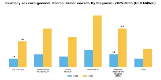 Germany Sex Cord Gonadal Stromal Tumor Market Segment Image 0