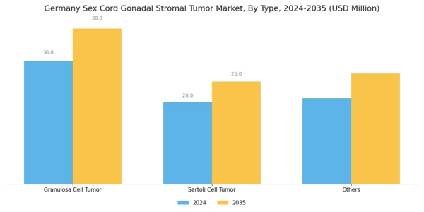 Germany Sex Cord Gonadal Stromal Tumor Market Segment Image 0