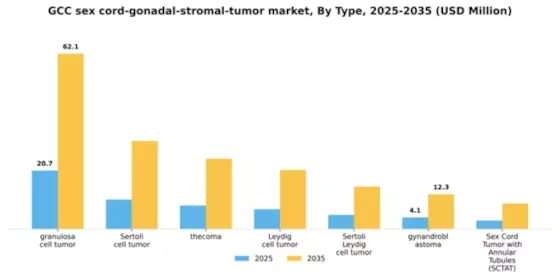 GCC Sex Cord Gonadal Stromal Tumor Market Segment Image 3
