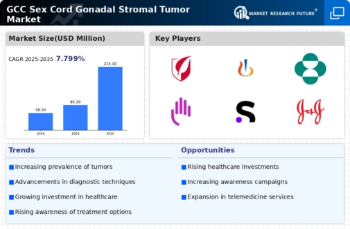 GCC Sex Cord Gonadal Stromal Tumor Market Infographic
