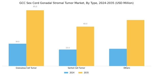 GCC Sex Cord Gonadal Stromal Tumor Market Segment Image 0