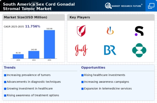 South America Sex Cord Gonadal Stromal Tumor Market Infographic