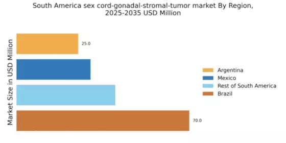 South America Sex Cord Gonadal Stromal Tumor Market Regional Image