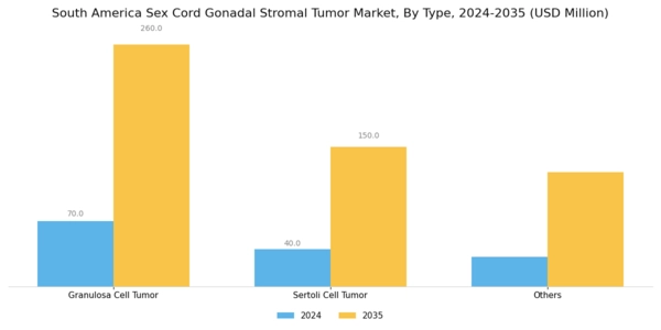 South America Sex Cord Gonadal Stromal Tumor Market Segment Image 0