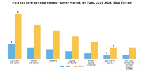 India Sex Cord Gonadal Stromal Tumor Market Segment Image 3