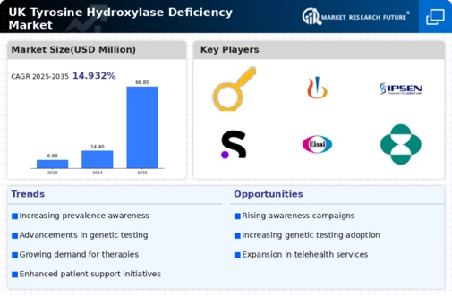 UK Tyrosine Hydroxylase Deficiency Market Infographic