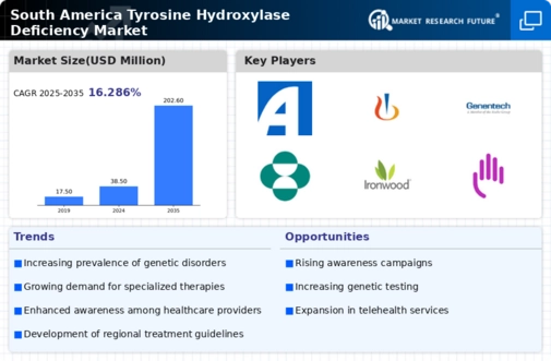 South America Tyrosine Hydroxylase Deficiency Market Infographic