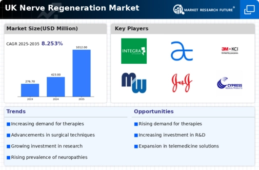 UK Nerve Regeneration Market Infographic