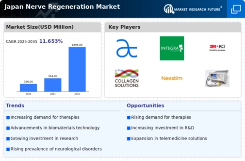 Japan Nerve Regeneration Market Infographic