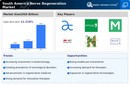 South America Nerve Regeneration Market Infographic