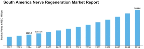 South America Nerve Regeneration Market Size