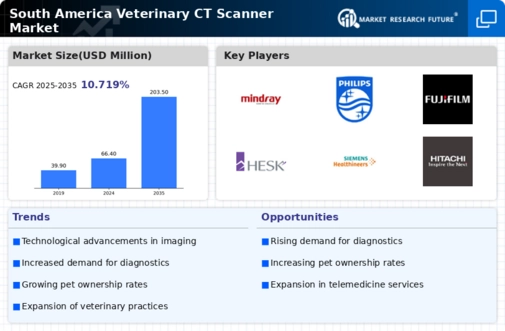South America Veterinary CT Scanner Market Infographic