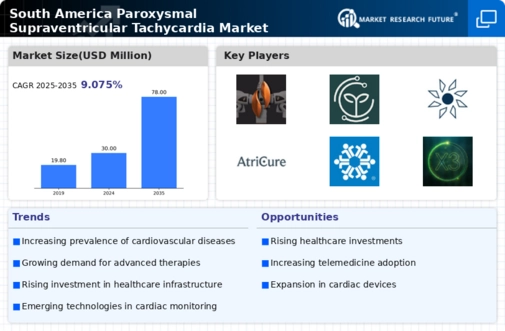 South America Paroxysmal Supraventricular Tachycardia Market Research Report - Forecast to 2035 Infographic
