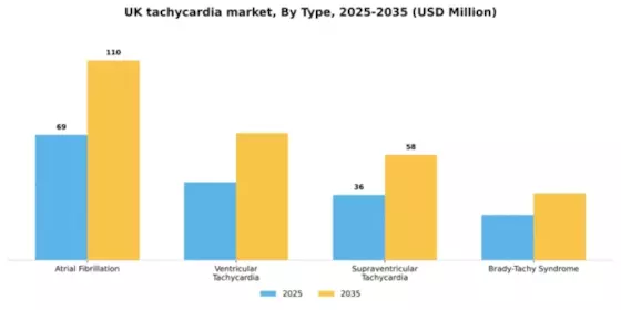 UK Tachycardia Market Segment Image 3