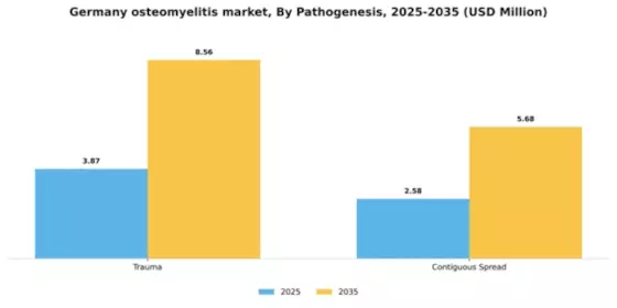 Germany Osteomyelitis Market Segment Image 2