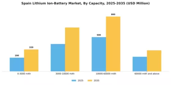 Spain Lithium Ion Battery Market Segment Image 0