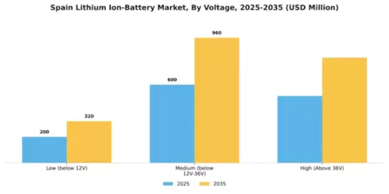 Spain Lithium Ion Battery Market Segment Image 3