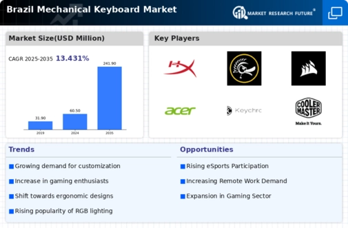 Brazil Mechanical Keyboard Market Infographic