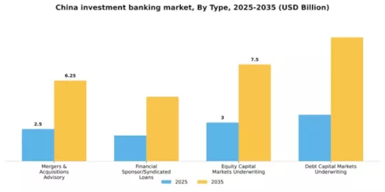 China Investment Banking Market Segment Image 2