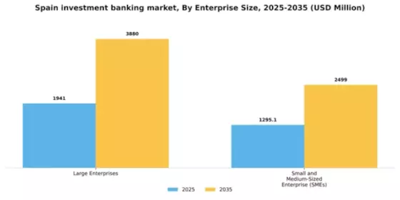 Spain Investment Banking Market Segment Image 1