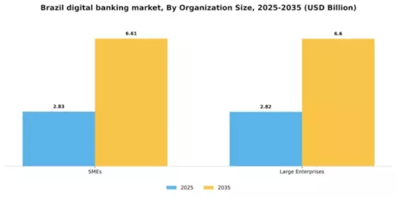 Brazil Digital Banking Market Segment Image 3