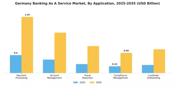 Germany Banking as a Service Market Segment Image 0