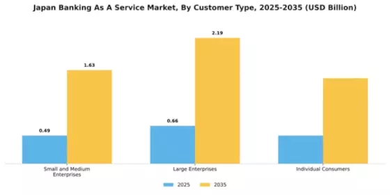 Japan Banking as a Service Market Segment Image 1
