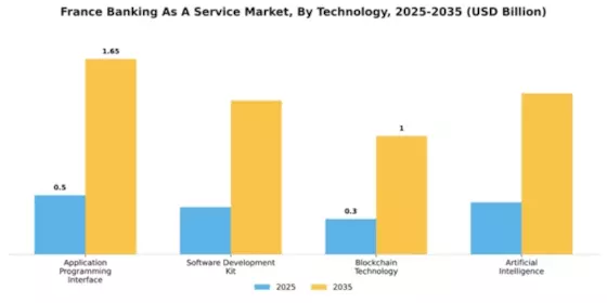 France Banking as a Service Market Segment Image 4