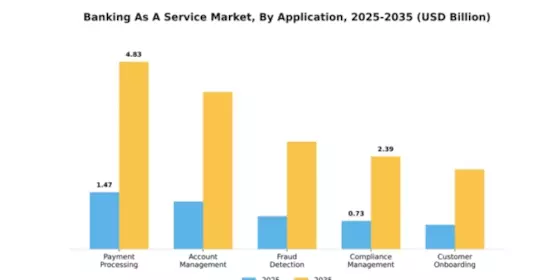 South America Banking as a Service Market Segment Image 0
