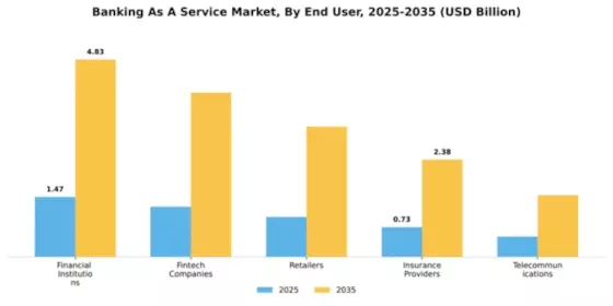 South America Banking as a Service Market Segment Image 2
